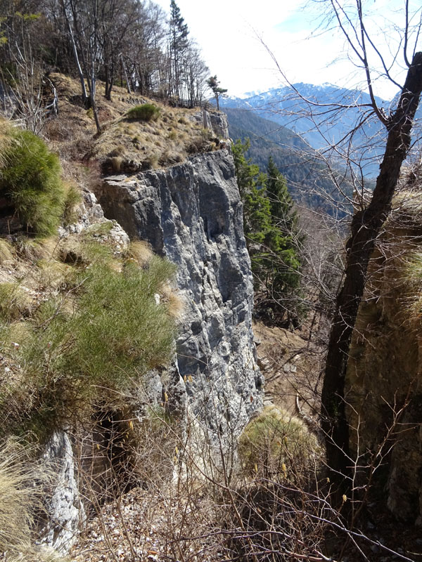 Forra del Lupo - Serrada (TN)